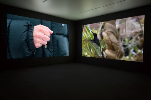 Janet Biggs. The Persistence of Hope, 2015. Installation view at Blaffer Art Museum. Courtesy of the artist, Connersmith, and Galerie Analix Forever. Photograph: Janet Biggs.