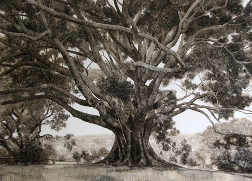 Nicholas Blowers. <em>Small Leaf Fig,</em> 2006. Oil on paper, 106 x 141.5 cm