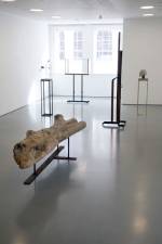 Installation view of Gallery 1. Foreground: Carol Bove, Untitled (Driftwood Bench), 2004. Found wood, steel. Carol Bove works courtesy of the artist and Maccarone, New York and David Zwirner, New York/London. Photograph: Jerry Hardman-Jones.