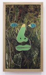 Brian Bress. Yellow Green Blue Face, 2014. High definition single-channel video (colour), high definition monitor and player, wall mount, framed, 37.75 x 22.5 x 4 in (95.89 x 57.15 x 10.16 cm), 20 min 01 sec loop. Courtesy Cherry and Martin, Los Angeles, CA.