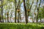 Tadashi Kawamata. Tree Huts in Bruges. © Tim Theo Deceuninck.