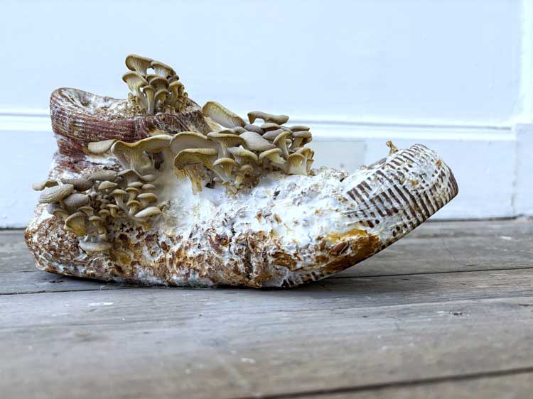 Eilidh Appletree, installation view, Net Worthy, part of Catalyst: Art as Activism, Summerhall Arts, Edinburgh, 31 January – 29 March 2026. Courtesy of the artist.