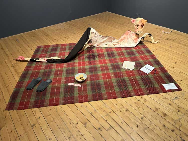 Kasia Oleśkiewicz, Manifesto for Regaining Space, installation view, Any Body Home, part of Catalyst: Art as Activism, Summerhall Arts, Edinburgh, 31 January – 29 March 2026. Courtesy of the artist.