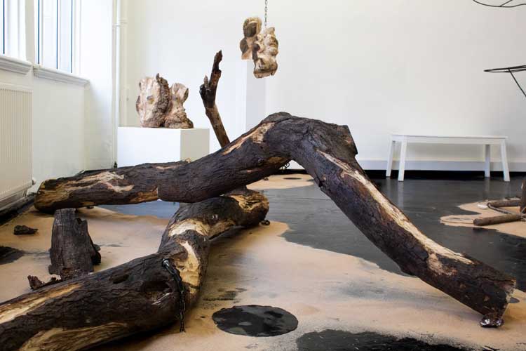 Molly Wickett, installation view, All Day, Waiting for Another Sun to Rise, part of Catalyst: Art as Activism, Corner Gallery, Summerhall Arts, Edinburgh, 31 January – 29 March 2026. Courtesy of the artist.