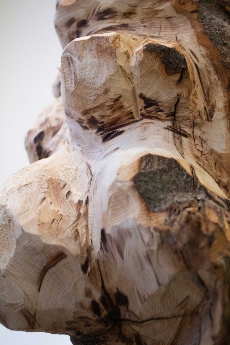 Molly Wickett, installation view, All Day, Waiting for Another Sun to Rise (detail). Exposed grain. Part of Catalyst: Art as Activism, Corner Gallery, Summerhall Arts, Edinburgh, 31 January – 29 March 2026. Courtesy of the artist.