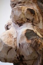 Molly Wickett, installation view, All Day, Waiting for Another Sun to Rise (detail). Exposed grain. Part of Catalyst: Art as Activism, Corner Gallery, Summerhall Arts, Edinburgh, 31 January – 29 March 2026. Courtesy of the artist.