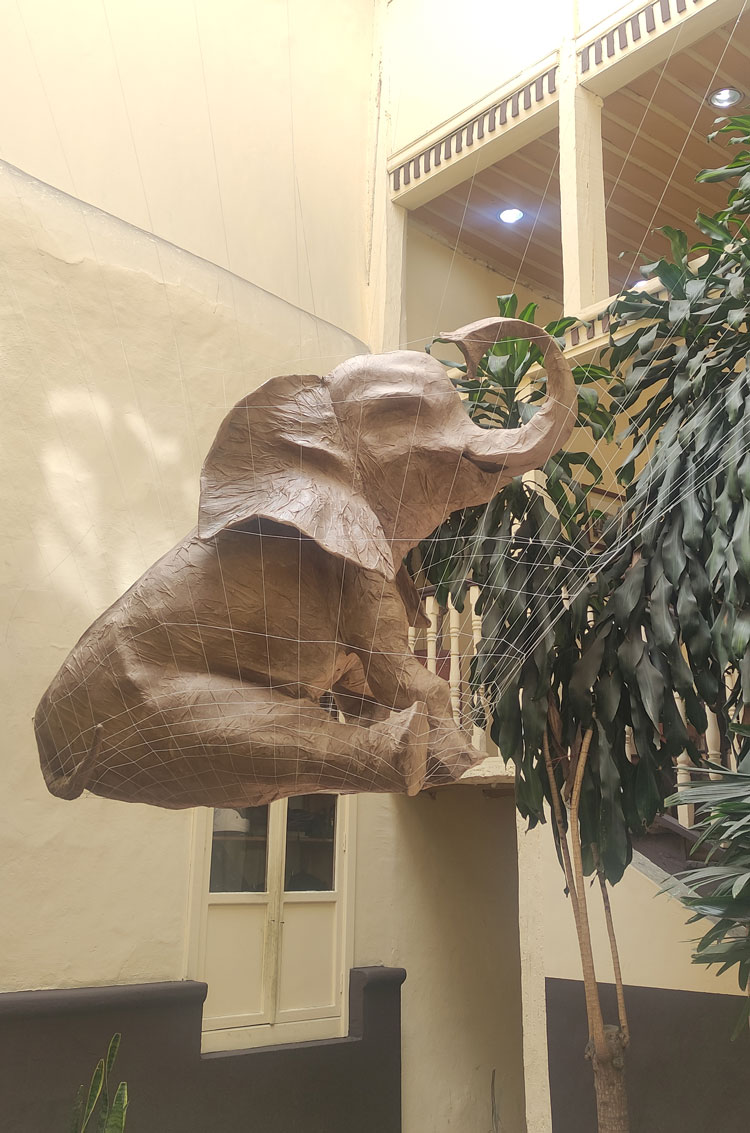 Darwin Guerrero, Elefante (Elephant), from the series Juguetes/ de lo ingenuo a lo perverso (Toys/ from the naive to the perverse), 2023. Elastic thread, metal mesh, kraft paper, variable dimensions. Photo: Salomé Velasco.