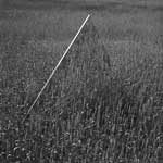 Francisco Arana Infante, Artifacts, 1977.  From the series The Life of the Triangle.  Silver gelatin print.  Kolodzei Art Foundation.