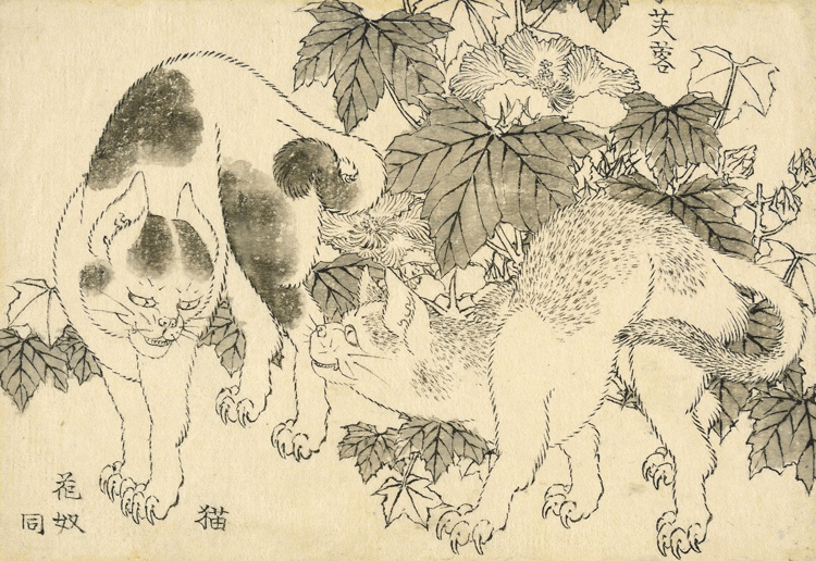 Katsushika Hokusai (葛飾北斎). Cats and hibiscus. A standoff between two cats, with hibiscus (fuyō) behind. Katsushika Hokusai, 1829. © The Trustees of the British Museum.
