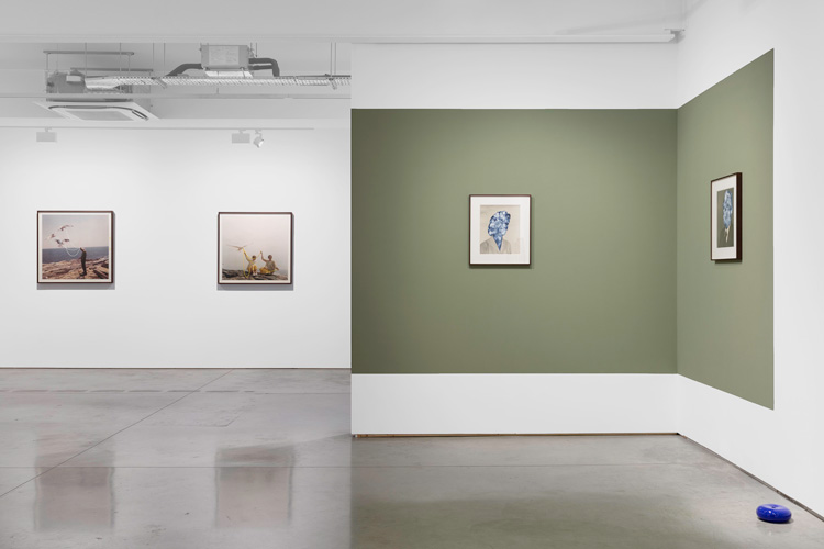 Julie Cockburn, Telling it Slant, gallery view, Flowers Kingsland Road, 2019.