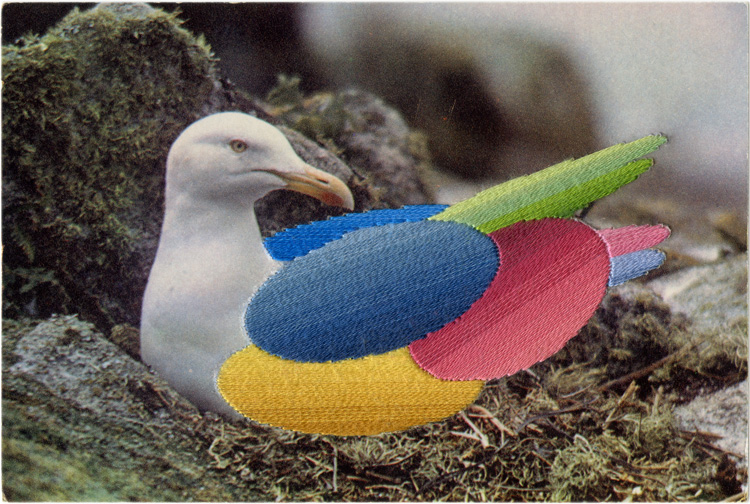 Julie Cockburn, Plumage 1, 2019. Hand embroidery on found postcard, 9.8 x 14.5 cm. © Julie Cockburn, Courtesy of Flowers Gallery London and New York.