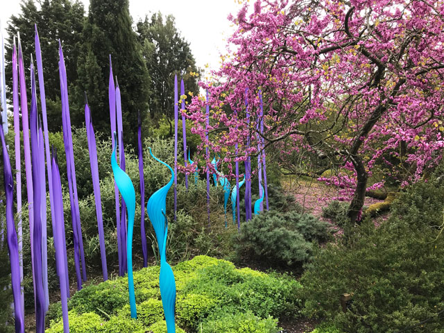 Dale Chihuly. Neodymium Reeds and Turquoise Marlins, blown glass, (date not specified). Royal Botanic Gardens, Kew, London 2019. Photo: Anna McNay.