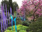 Dale Chihuly. Neodymium Reeds and Turquoise Marlins, blown glass, (date not specified). Royal Botanic Gardens, Kew, London 2019. Photo: Anna McNay.