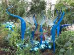 Dale Chihuly. Turquoise Marlins and Floats, blown glass, 2015. Royal Botanic Gardens, Kew, London 2019. Photo: Anna McNay.