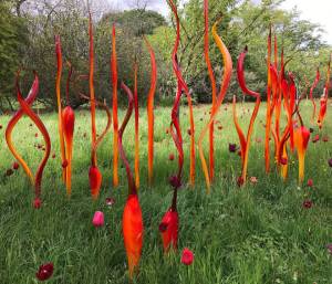 As an artist who seeks to create works that appear as if they came from nature, placing interventions throughout such a beautiful botanic garden, Dale Chihuly succeeds in mirroring and augmenting its pre-existing splendour