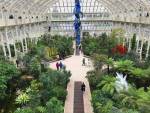 Dale Chihuly. Installations in the Temperate House, Royal Botanic Gardens, Kew, London 2019. Photo: Anna McNay.