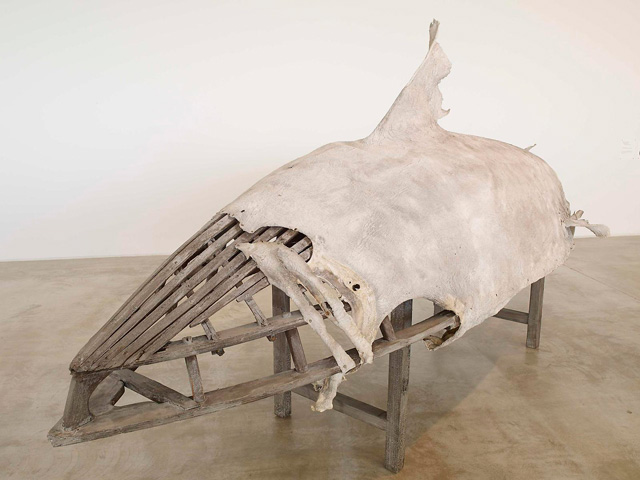 Dorothy Cross. Basking Shark Currach, 2013. Basking-shark skin, wooden-currach frame, 36.22 in (92 cm).