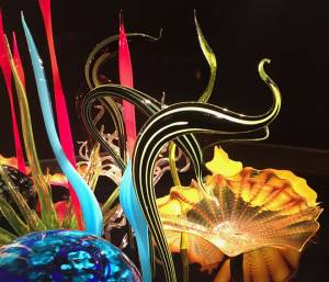 Chihuly’s sheer brilliance and inventiveness in working with glass shine through in the magical creations on show here