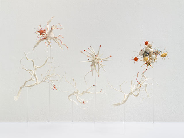 Laura Youngson Coll. Angiogenesis, 2017. Vellum, Supernatural vellum, dyed vellum. Photograph: Anna Arca.