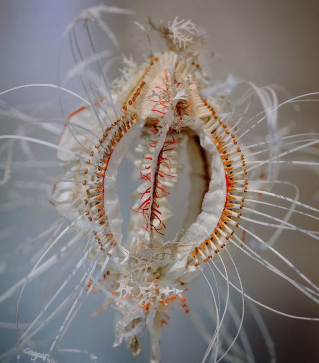 Laura Youngson Coll. Haeckel I, 2015 (detail). Vellum, Supernatural vellum, hair, sheep leather, armature, approximately 25 cm diameter. Photograph: Laura Youngson Coll.