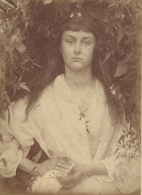 Julia Margaret Cameron. Pomona, September 1872. Albumen silver print from glass negative. David Hunter McAlpin Fund, 1963. The Metropolitan Museum of Art.