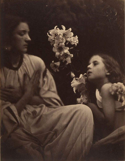 Julia Margaret Cameron. A Study, 1865–66. Albumen silver print from glass negative. Bequest of James David Nelson, in memory of Samuel J. Wagstaff Jr., 1990 The Metropolitan Museum of Art.