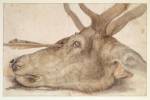 Albrecht Dürer. Deer's head pierced with an arrow, 1504. Drawing and watercolour on paper, 25.2 x 39.2 cm. Paris, Bibliothèque nationale de France, département des Estampes et de la Photographie. Photograph © BnF, Dist. RMN-Grand Palais / image BnF.