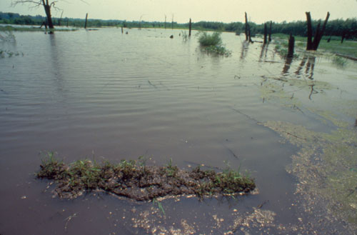 Ana Mendieta. Isla, 1979. Lifetime colour photograph, 12 ¾ 19 ¼ in. Estate Mendieta.