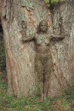 Ana Mendieta. Tree of Life, 1976. Colour photograph, 50.8 x 33.7 cm. Collection Raquelin Mendieta Family Trust.