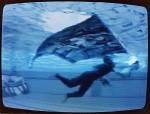 Valera & Natasha Cherkashin. German Atlantis, 1996. Underwater installation, Olympia swimming pool, Berlin.