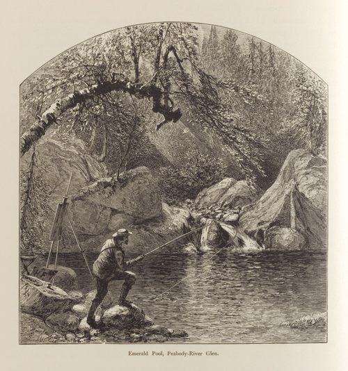 Harry Fenn (American, 1845-1911), <em>Emerald Pool, Peabody Glen, White Mountains</em>, published in <em>Picturesque America</em>, or <em>The Land We Live In</em>, Vol. I, p. 166. U.S.A., 1872-1874. Wood engraving with letterpress on white wove paper. Courtesy of Smithsonian Institution Libraries, Washington, D.C. Photo: Matt Flynn