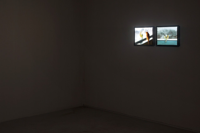 Installation view of Breathing Bird at the Tel Aviv Museum of Art, Helena Rubinstein Pavilion, Tel Aviv, Israel, 2012. Photograph: Elad Sarig. Courtesy of the artist and Sean Kelly, New York.