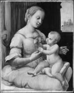 Raphael. <em>The Madonna of the Pinks</em>, <br>
        about 1506-7 (image 2). © National Gallery, London.