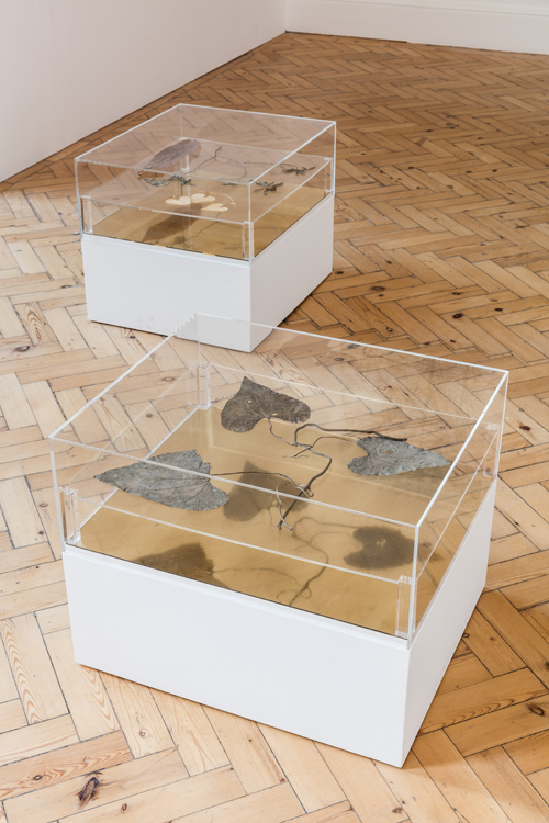 Hannah Collins. Installation view (6), Camden Arts Centre, London. Photograph: Mark Blower.