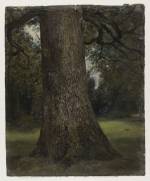 John Constable. Study of the Trunk of an Elm Tree, c1821-28. © Victoria and Albert Museum, London.