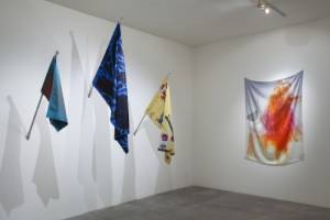 Petra Cortright. Installation view of XXX BLANK BLANK BLANK at Steve Turner Contemporary, Los Angeles, 2013. Medium variable, dimensions variable.