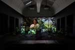 Danielle Dean: Amazon, installation view, Tate Britain, London. © Tate Photography (Jai Monghan).