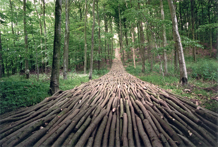 Mikael Hansen. Organic Highway, 1995, re-established in 2002 and 2011. Sycamore branches, length 60 m (196 ft 10 in). Photo courtesy the artist.