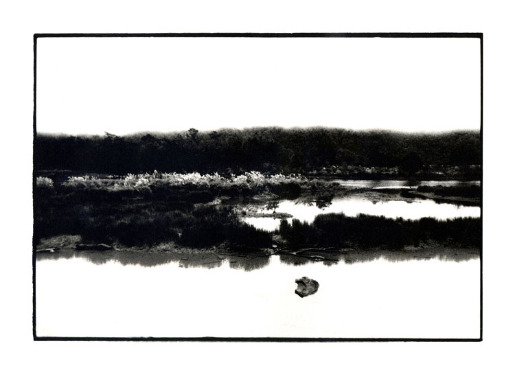 Toby Deveson, Parque Nacional Queulat, Chile, February 2018. Taken with a Nikkormat using a 24mm lens and Kodak T-Max 400 film. Printed on Foma 532 fibre-based paper.