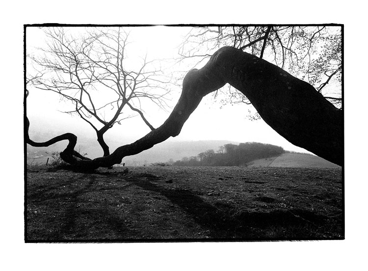 Toby Deveson, Chanctonbury Ring, Sussex, England, April 1997. Silver Gelatin print. Taken with a Nikkormat using a 24mm lens and Kodak T-Max 400 film. Printed on Foma 532 fibre-based paper.