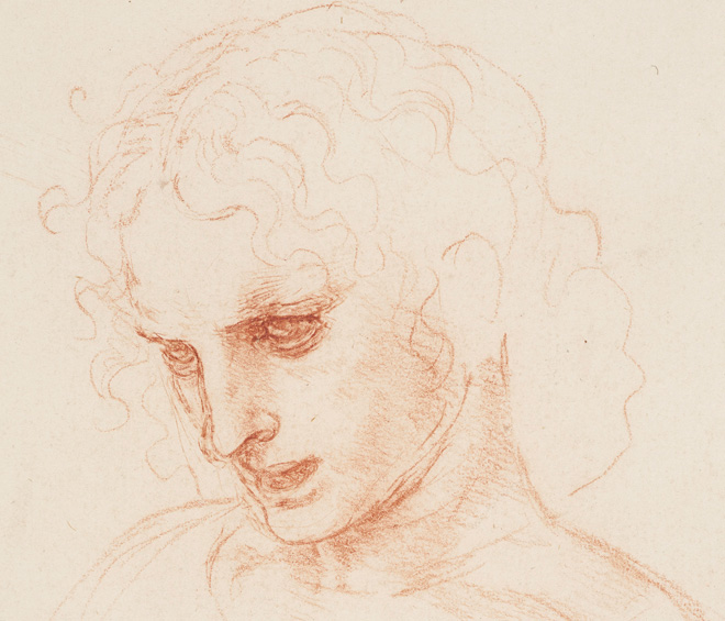 Ten Drawings by Leonardo da Vinci from the Royal Collection  Exhibition at  Manchester Art Gallery in Manchester