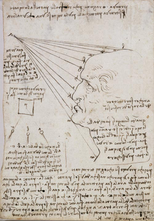 Leonardo da Vinci. Head of a man showing how rays of light fall upon the face from an adjacent source, c.1488. 20.3 x 14.3 cm. Pen and ink on white paper. Royal Collection © 2006 Her Majesty Queen Elizabeth II.