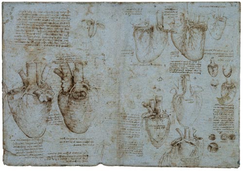 Leonardo da Vinci. Studies of the heart of an ox, c.1513. 28 x 41 cm. Pen and ink on blue paper. Royal Collection © 2006 Her Majesty Queen Elizabeth II.