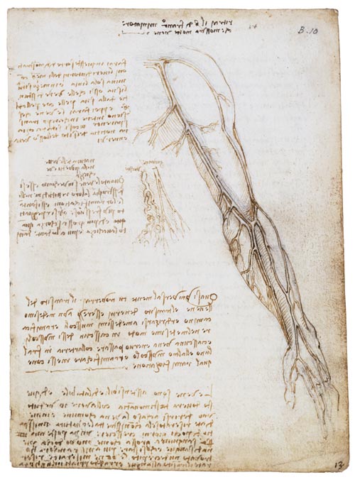 Leonardo da Vinci. Vessels of the arm with comparison of vessels in the old and the young, c.1508. Pen and ink 19 x 13.3 cm. Royal Collection 