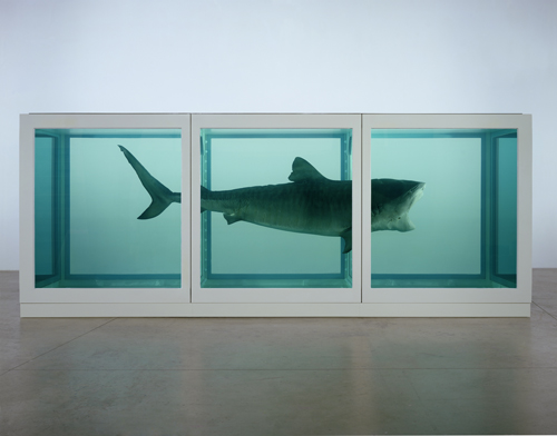 Damien Hirst. The Physical Impossibility of Death in the Mind of Someone Living, 1991. Glass, painted steel, silicone, monofilament, shark and formaldehyde solution. © Damien Hirst and Science Ltd. All rights reserved. DACS 2012. Photograph: Prudence Cuming Associates.