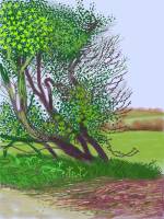 David Hockney. <em>The Arrival of Spring in Woldgate, East Yorkshire in 2011 (twenty eleven) - 12 April.</em> iPad drawing printed on paper, 144.1 x 108 cm; one of a 52-part work. Courtesy of the artist. Copyright David Hockney.