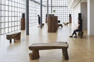 Nurturing Exhibitions, 2021. Six music compositions by Phill Niblock, soil and the Amanatsu orange sapling from Masanobu Fukuoka Natural Farm, wooden pedestals, speakers, wooden benches, wooden planter, acrylic case, water, sunlight. Photo copyright Nacása & Partners Inc / Courtesy of Fondation d’entreprise Hermès.