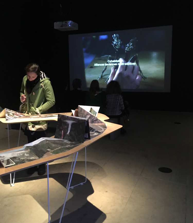 Carolina Caycedo. Serpent River Book, 2017 (foreground); Ana Vaz and Tristan Bera, A Film, Reclaimed, 2015 (background). Photo: Veronica Simpson.