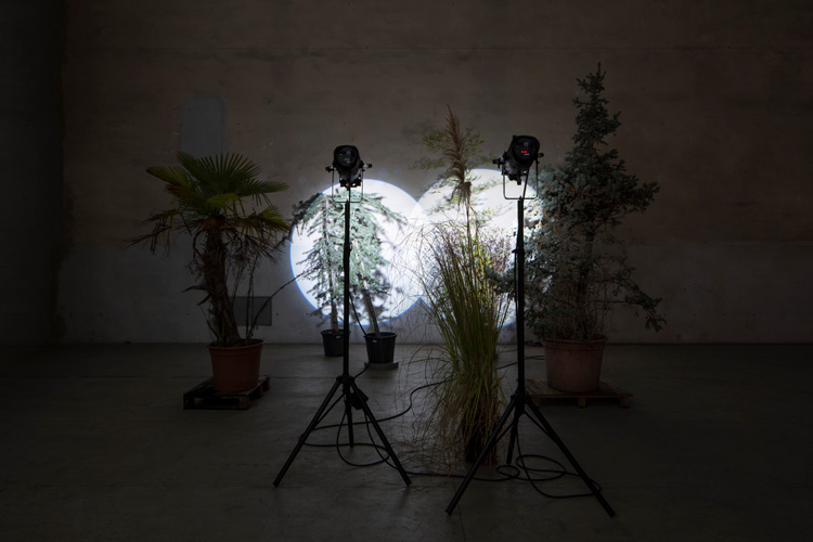 Cerith Wyn Evans. Still life (In course of arrangement...), 2019. Installation view at Pirelli HangarBicocca, Milan, 2019. Courtesy of the artist; White Cube and Pirelli HangarBicocca. Photo: Agostina Osio.