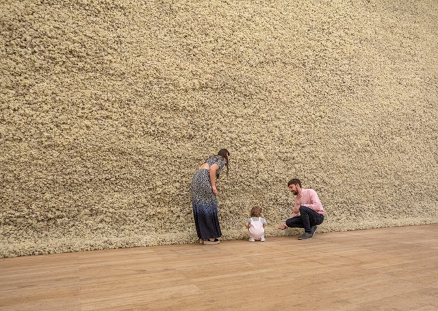 Olafur Eliasson. Moss wall, 1994. Reindeer moss, wood, wire, dimensions variable. Installation view, Tate Modern, London, 2019. Photo: Anders Sune Berg. Courtesy the artist; neugerriemschneider, Berlin; Tanya Bonakdar Gallery, New York / Los Angeles. © 1994 Olafur Eliasson.